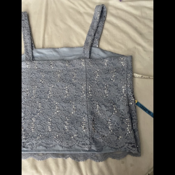 NWT ALEX EVENINGS Lace‎ Sleeveless Square Neck Top Top in Hydrangea [SZ 2X ] - Picture 13 of 14